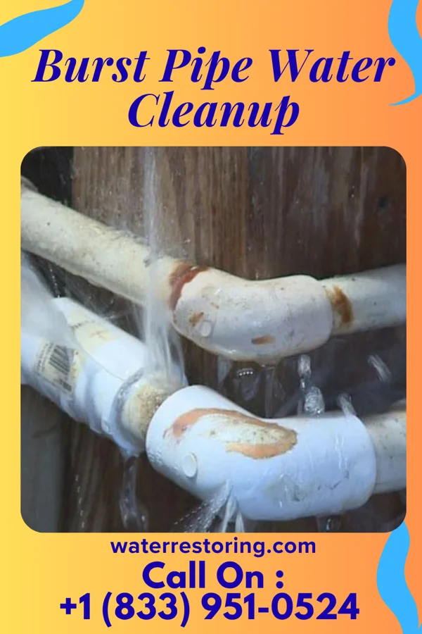 Burst Pipe Water Cleanup in Oak Hills, PA
