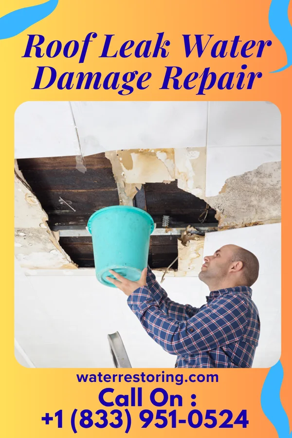 Roof Leak Water Damage Repair in Oak Hills, PA