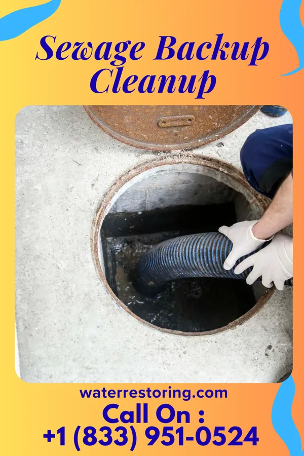 Sewage Backup Cleanup in Oak Hills, PA