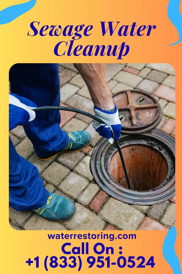 Sewage Water Cleanup in Oak Hills, PA